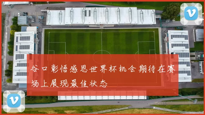 谷口彰悟感恩世界杯机会期待在赛场上展现最佳状态